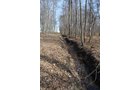 Property photo 106 - REAL ESTATE & PERSONAL PROPERTY AUCTION, 140 Acres offered in 8 Tracts or Combinations in Steuben County